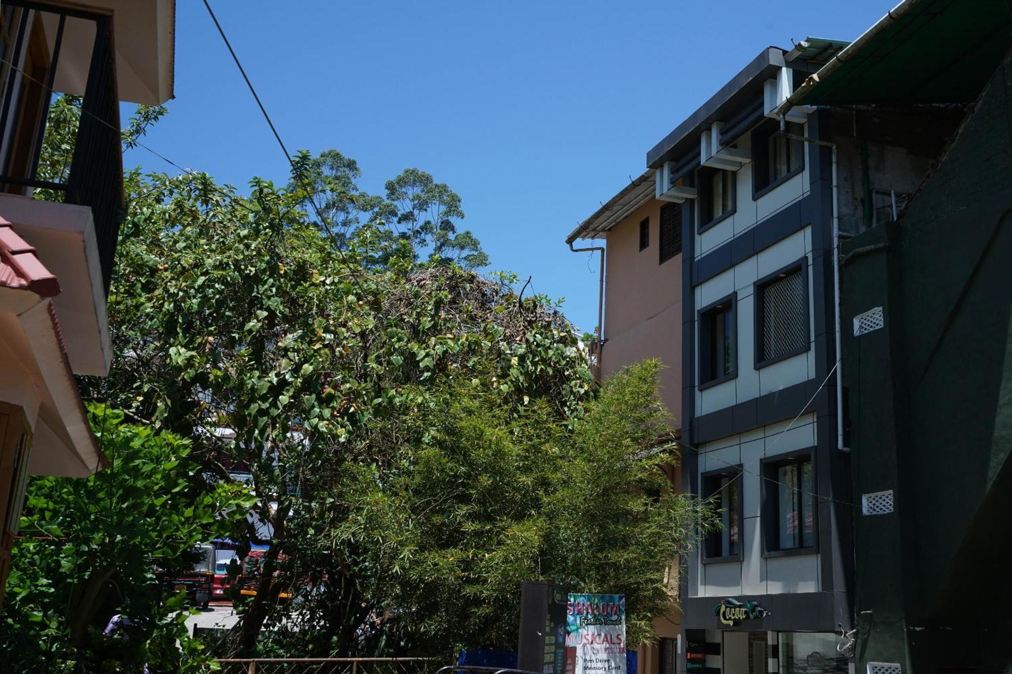 Oyo Hotel Cocoa Tree Муннар Экстерьер фото